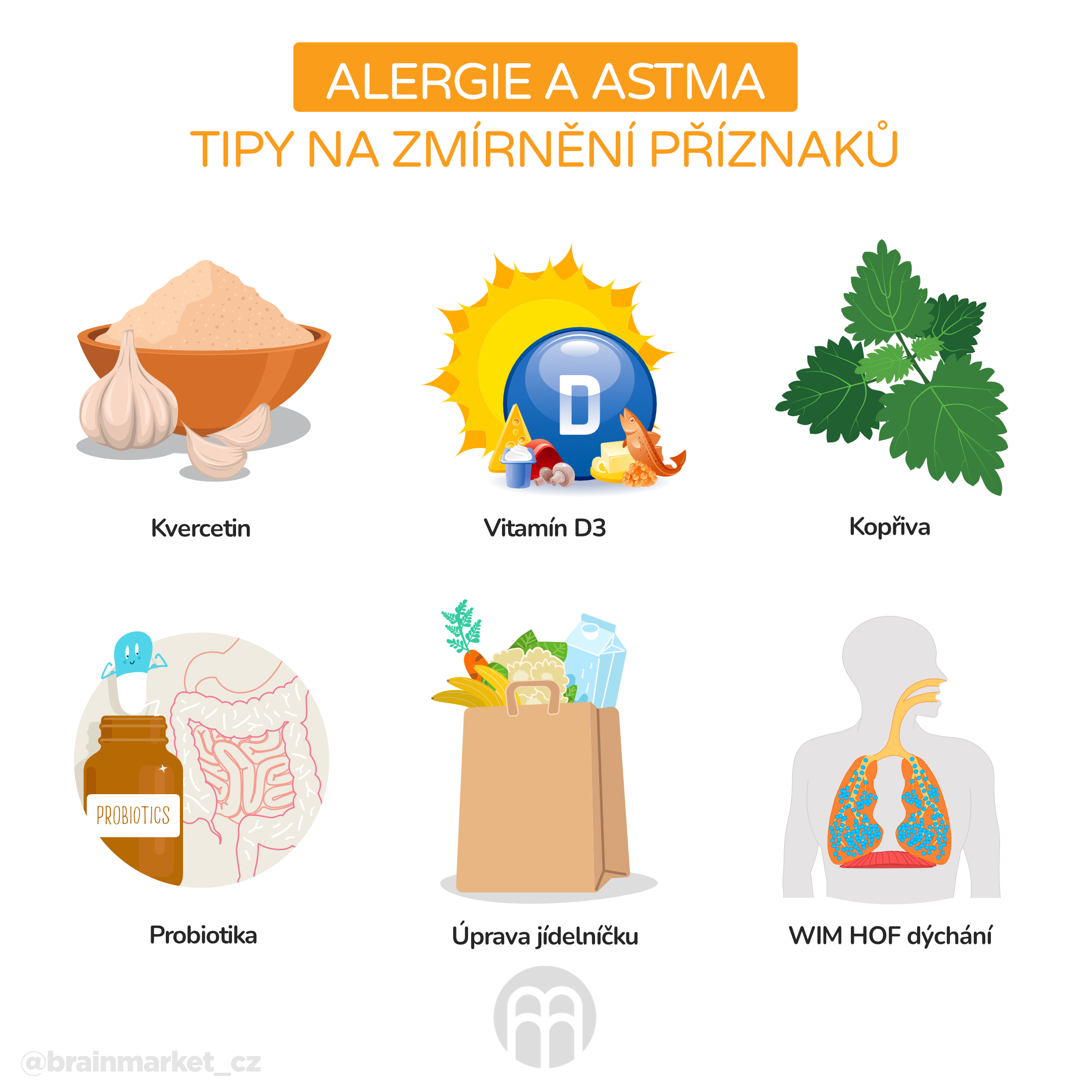 alergie a astma tipy na zmírnění příznaků_infografika_cz